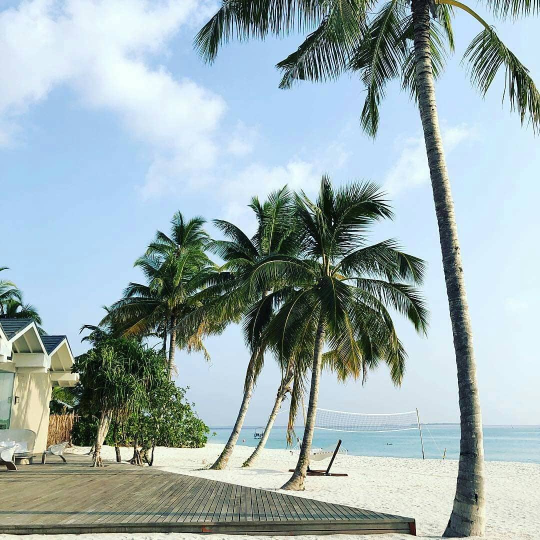 Lnprogress_'s tweet image. I like sunshine and sand beaches.