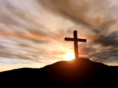 212Seed's tweet image. The 212 Seed &amp;amp; Ag family wishes a Happy Easter to you and all the hard working families out there! Safe travels! #HeIsRisen #familytime #Thankful