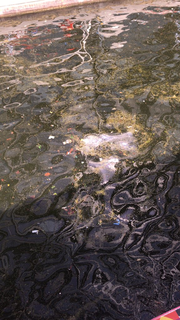 jghughesdigital's tweet photo. @PaulJKavanagh1 Canals are also a great choice to dispose of your waste. https://t.co/nvSTKaxrCW