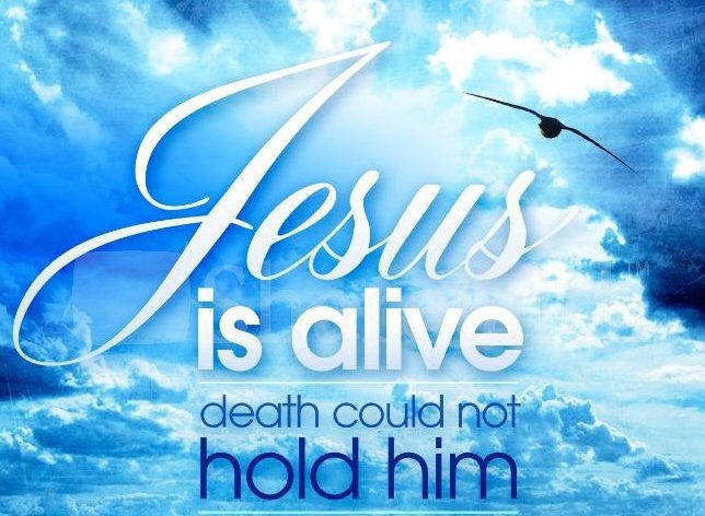 abwmdmv's tweet photo. Happy Easter https://t.co/QlRbhsW3GF