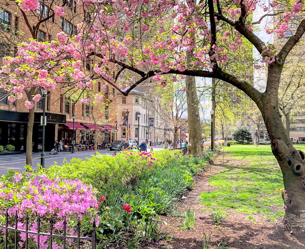 visitphilly's tweet photo. Beauty level: 1,000,000.🌷🍃🌹🌸

Wishing you a happy holiday weekend from Philly! https://t.co/uuDTDfhlFS