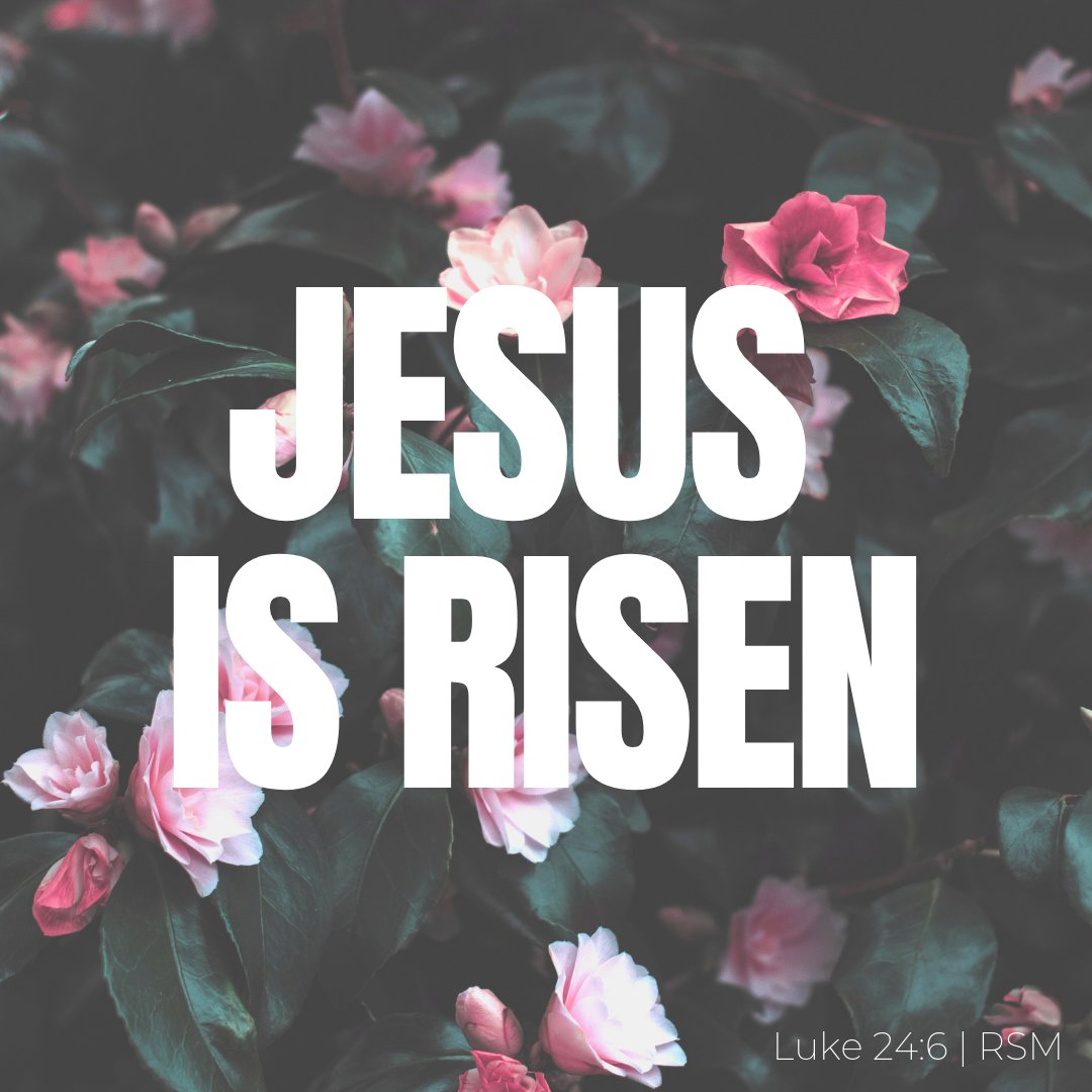 WeLoveRSM's tweet photo. He is ALIVE! Celebrate that with us at the Rock at #10amsharp. Sit with the students in the front right of the auditorium and enjoy some #coffeedonutsandjesus! https://t.co/6ePGJ98vLL
