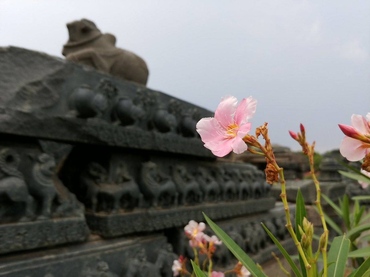 vijeth_sudhir's tweet photo. #nature and #history are my #subjectofstudy capturing #beautiful moments of my #travel through #photography https://t.co/JfzpKfjK2g