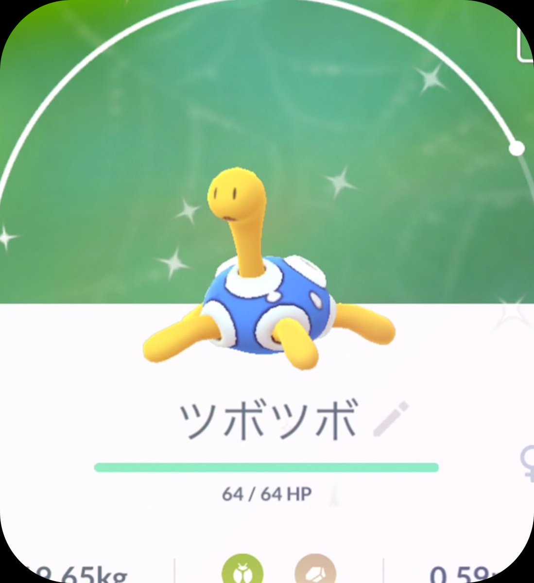 ツボツボ色違い Twitter Search