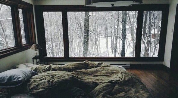 Explorepics_'s tweet image. I want to sleep forever here