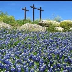 The_daily_max's tweet photo. Happy Easter from Texas
#HeisRisen #Jesus #ScriptureFulfilled #godisgood https://t.co/6RIxoBOx4H