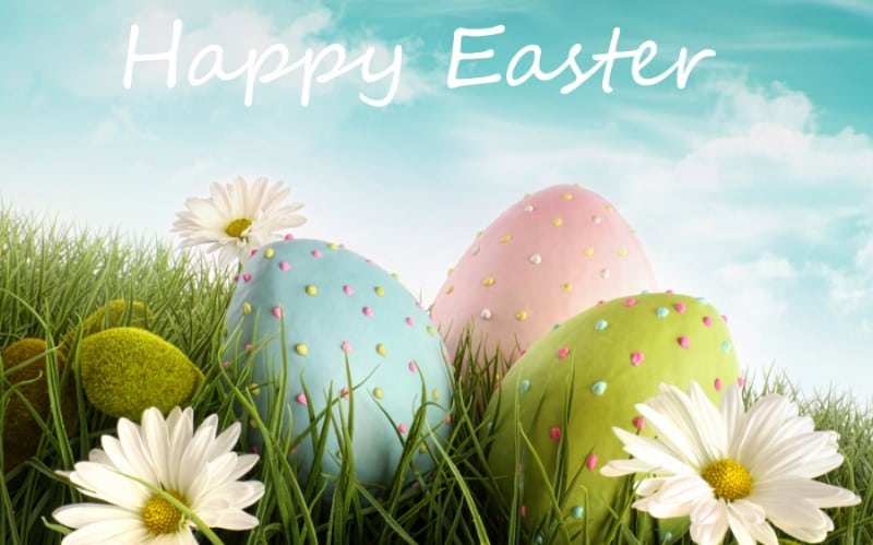 SheaHgtsCCB's tweet photo. Warm Easter Greetings from the @SheaHgtsCCB May your baskets and hearts be equally full 🐰🥚🐣 https://t.co/vysNLbkeB2