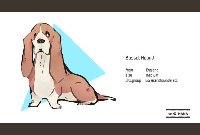 バセットハウンドのtwitterイラスト検索結果 古い順