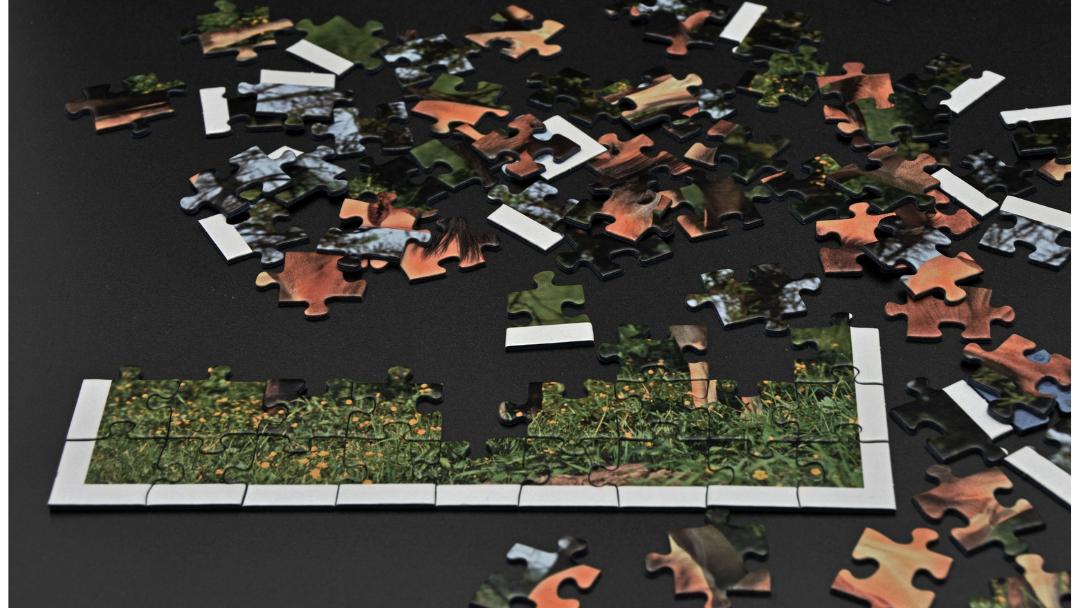 TheHappySquirrelBlog tweet media