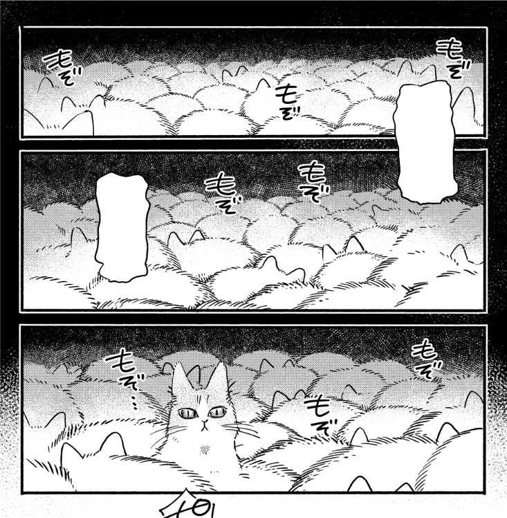 次回の『ねこだまり』は4/26発売の週刊漫画TIMES(5/10-17号)に掲載予定です。ふさふさです。 