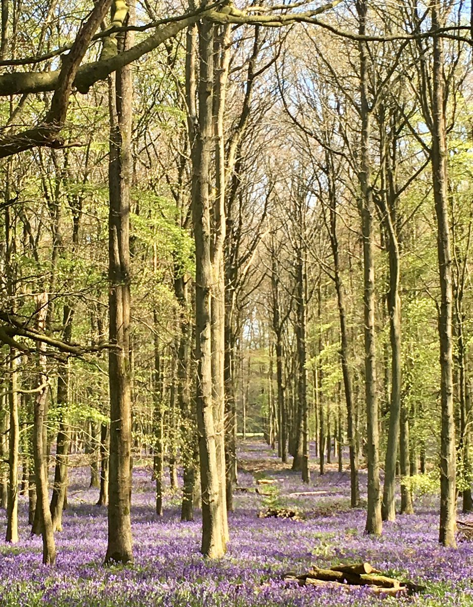 reddoorposters tweet media