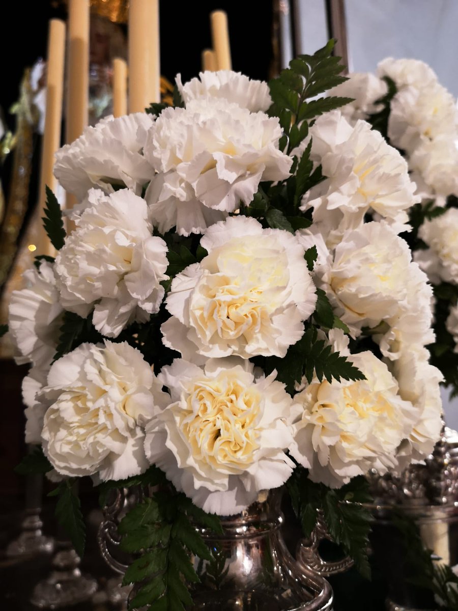 PAMFLORISTERIA's tweet photo. Clavel blanco para Nuestra Señora de los dolores de Alanís #FloristeriaPabloMartinez https://t.co/gv3ZEl1SsT