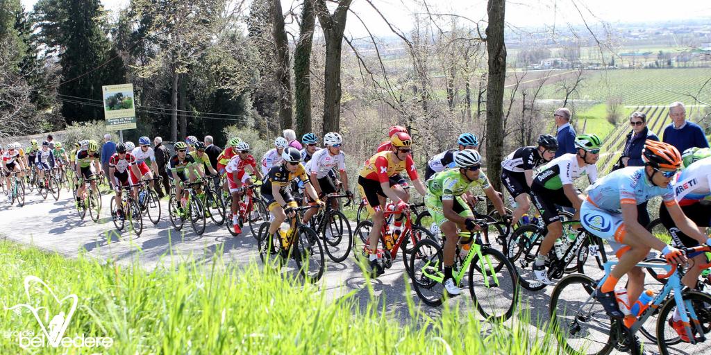🚴‍ Pronti per la parata di talenti a Villa di <a href="/cordignano/">Cordignano</a>? 
💚 Domani è il grande giorno del #Belvedere!
➡ bit.ly/2GxByTg