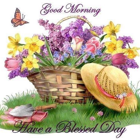 flowerkeepers's tweet photo. #happyeaster #EasterSunday #Easter #EasterWeekend #easterday #Blessings #blessed #BlessedSunday #BlessedAndGrateful #flowers #Flowerkeeper https://t.co/eO6vXrGXgP