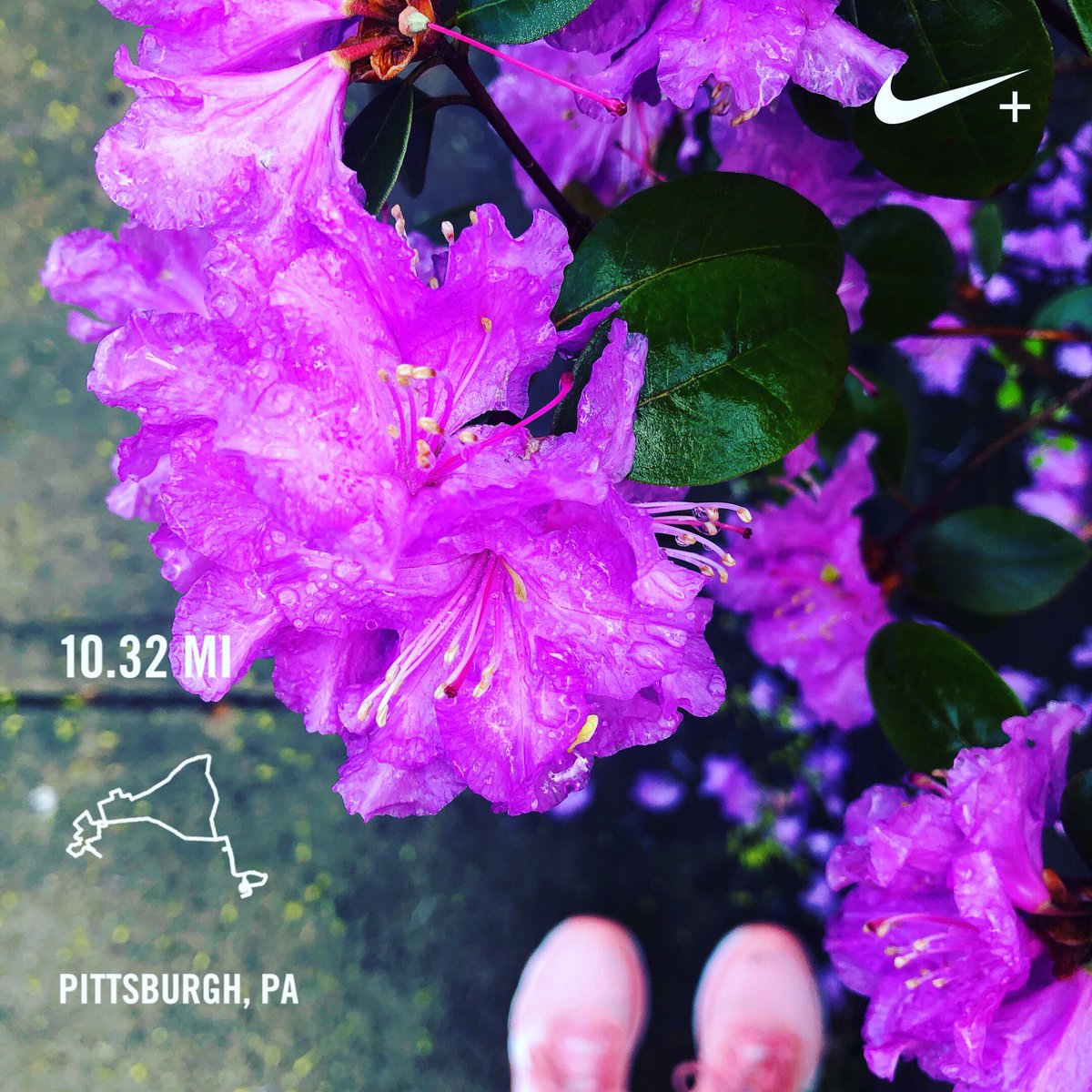 runpriyarun's tweet photo. 10.32 miles. Not easy, not peasy. But deeply satisfying. 
#seenonmyrun 🏃🏻‍♀️
#pittsburgh #runchat #runner #runhappy #runpgh #lovepgh #RunnerOfSteel https://t.co/ErAqkhvyUI