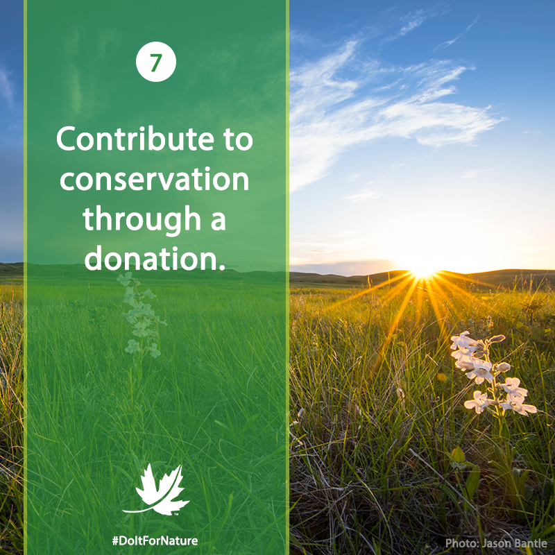 NCC_CNC's tweet photo. April 22 is #EarthDay! To celebrate, this week we’ll be sharing seven simple things you can do for nature. #DoItForNature

Number 7: Donate to @NCC_CNC and help ensure that Canada’s natural spaces, and the species they sustain, are protected. https://t.co/65g2NGsjjO https://t.co/eNOYV7bolo