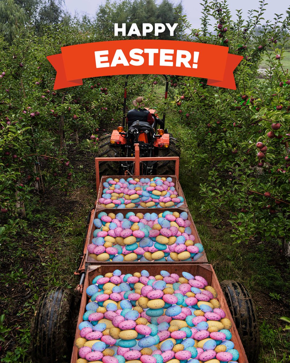 KubotaCanadaLtd's tweet photo. #HappyEaster folks! Have an egg-cellent day with friends and family! 🐰🥚 https://t.co/4xFtFD9Rez