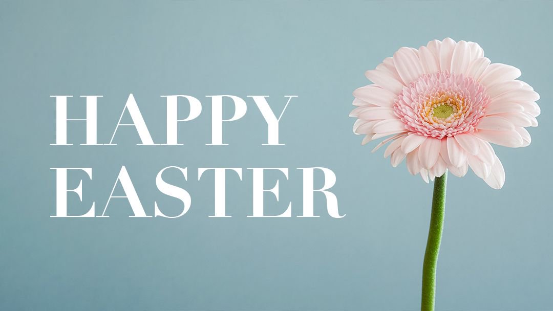 Happy #Easter! 🐰🐤🍫🌷