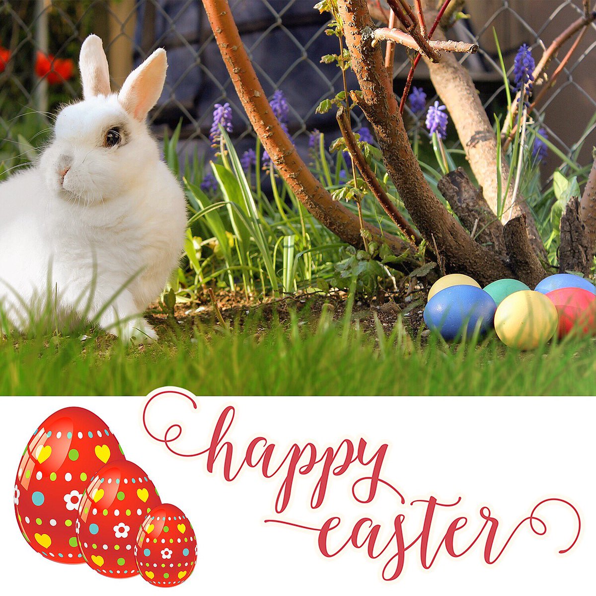RosesCleaningLV's tweet photo. Happy Easter Las Vegas!
#EasterSundayinVegas https://t.co/lrhCd90Qxg