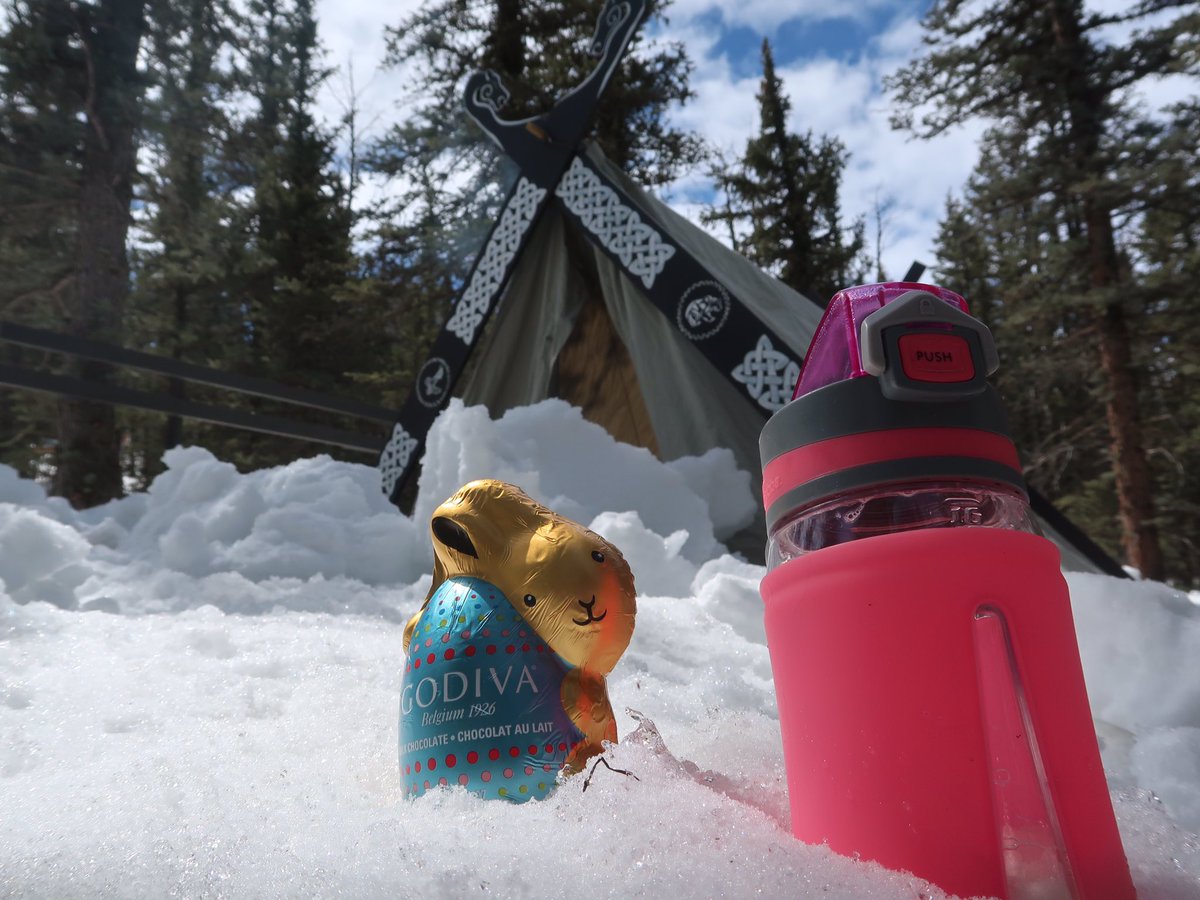 SpiritForestB's tweet photo. Happy Easter! Short video on my YouTube channel: spirit Forest .   #spiritforest #spiritforestbear #chocolatebunny #spiritforestchocolatebunny https://t.co/ef3PO6JVTk