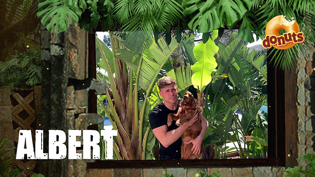 Supervivientes's tweet photo. Albert Álvarez (@albert_iceman89), ¡nuevo concursante confirmado de #Supervivientes2019! #MomentoIrresistible 🏆 https://t.co/3adSU1FsMD https://t.co/zoFojAkFOc