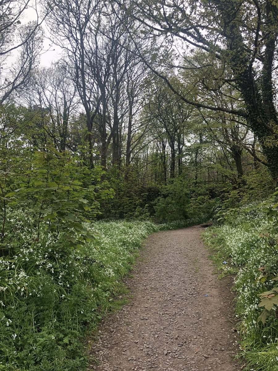 MarketingMeraki's tweet photo. Day 11 #100daysofwalking2 👣Happy Easter my Walking Friends🐣👣. Lovely meeting up with you today Elaine Enjoy cycling the Greenway 🌷@WaterfordGrnWay @LaineyB2011 #100daysofwalking @ciarakellydoc https://t.co/b2nMjNRZKD