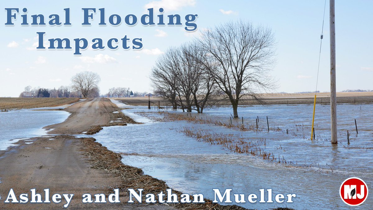 marketjournal's tweet photo. Farmers are still trying to assess what planting season and harvest might look like this year. @UNLExtension's @_ashmuell and @croptechcafe explain what they’re doing to aid landowners and flood victims. #MJ #marketjournal #neextension #nebraskafloods
https://t.co/l3z05AaPgB https://t.co/cQ6xXHCKC2