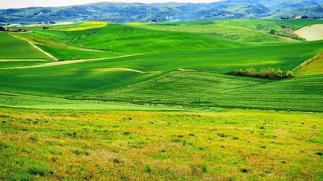 clbenc's tweet photo. 🇮🇹Italy📍Tuscany🚩Lorenzana🗓2019 Apr - Lorenzana provincial Road, Glimpses of Tuscan hills #claudiobencivenni®️ #road #green #nature #silence #wheatplantation #beautifullroad #easter #beautifulcolor #ourplanetdaily #instagram https://t.co/q5VVWiRxJV