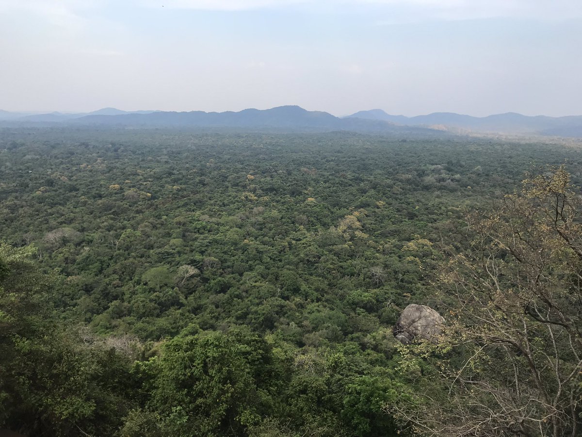 #SriLanka uno de los paises más bonitos y seguros que he visitado! Gente amable y cercana, debemos seguir visitándolo, estos bárbaros no deben coaaccionar nuestras decisiones!