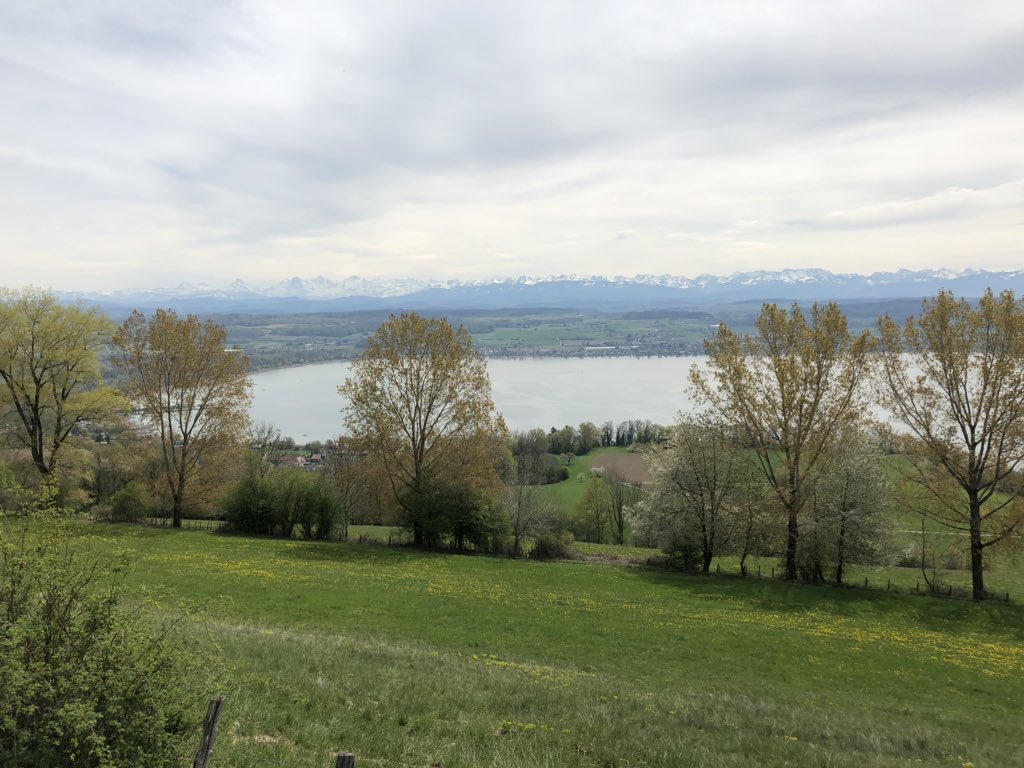 martin_candinas's tweet photo. Velotour um den Murtensee / Lac de Morat. #muntelier #sugiez #montvully #lugnorre #vullyleslacs #salavaux #faoug #courgevaux #meyriez #murten @murtenseeregion @fribourgregion https://t.co/OrmonKU5q0
