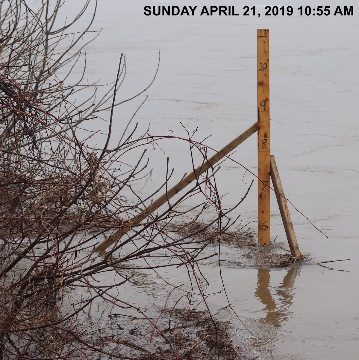 The water has receded some in Florenceville. Down to 5’-2” from 5’-8” earlier this morning. The worst may not be over yet as EMO is still predicting water levels to peak in northern NB around Tuesday. Stay vigilant. #nbflood2019 #nbflood #riverwatch #riverwatch2019