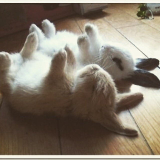 Nap Time. We’re closing for dinner to let our staff enjoy the rest of the holiday weekend. Back at it on Tuesday. 
#GOT