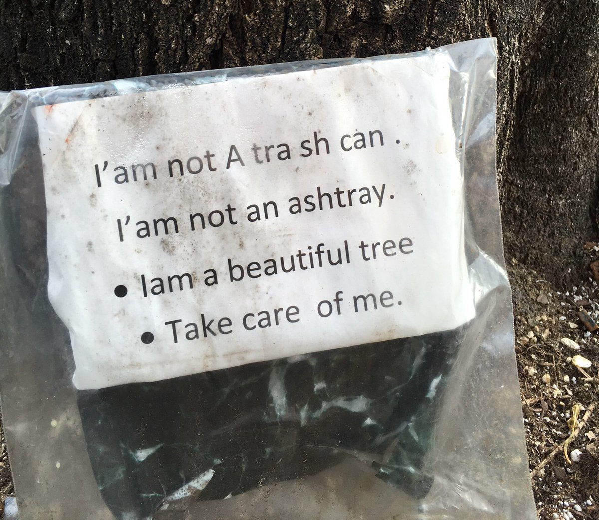 TisherTisher's tweet photo. Saying my affirmations https://t.co/rDdMZrooL9