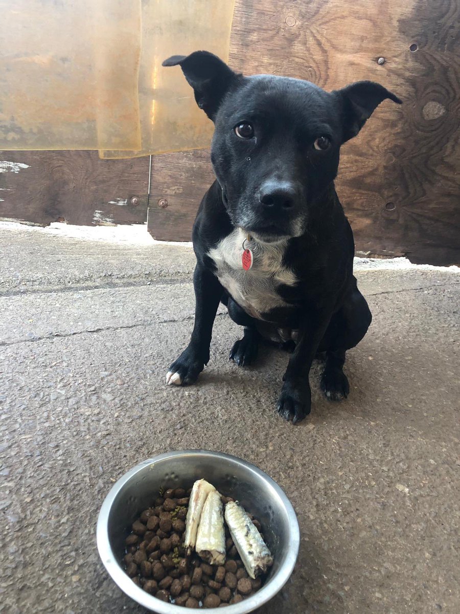 Me sat waiting to eat my sardines