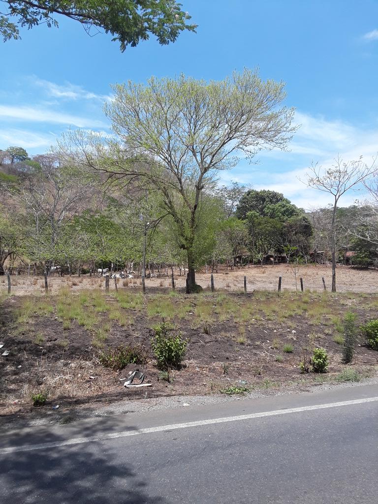 LaVerdad1604's tweet photo. @trafficGUARICO @conexionguarico Guarico central (la pascua,tucupido,chaquaramas,zaraza) debe ser #reforestado creando viveros desde cada https://t.co/NX7MhBnGUP deforestación desmesurada por el boom cerealero q creo cambios del micro clima.Vivimos sus consecuencias. https://t.co/tWryhC4rhW
