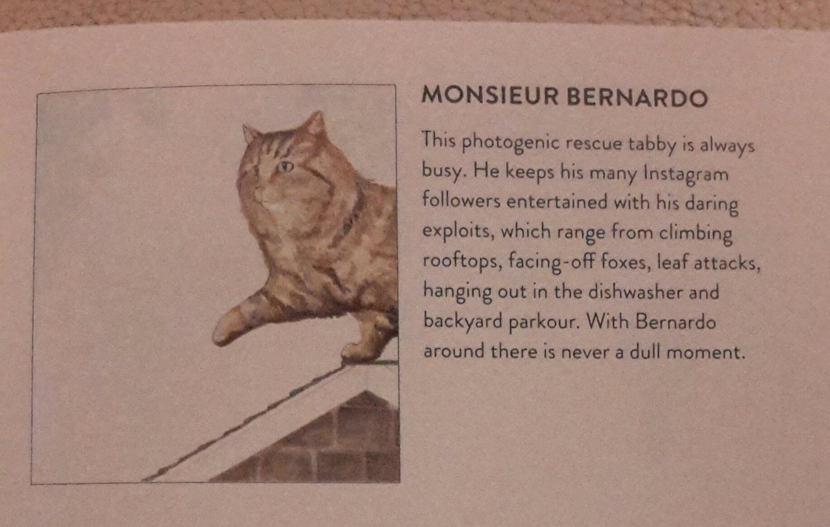 Monsieur Bernardo