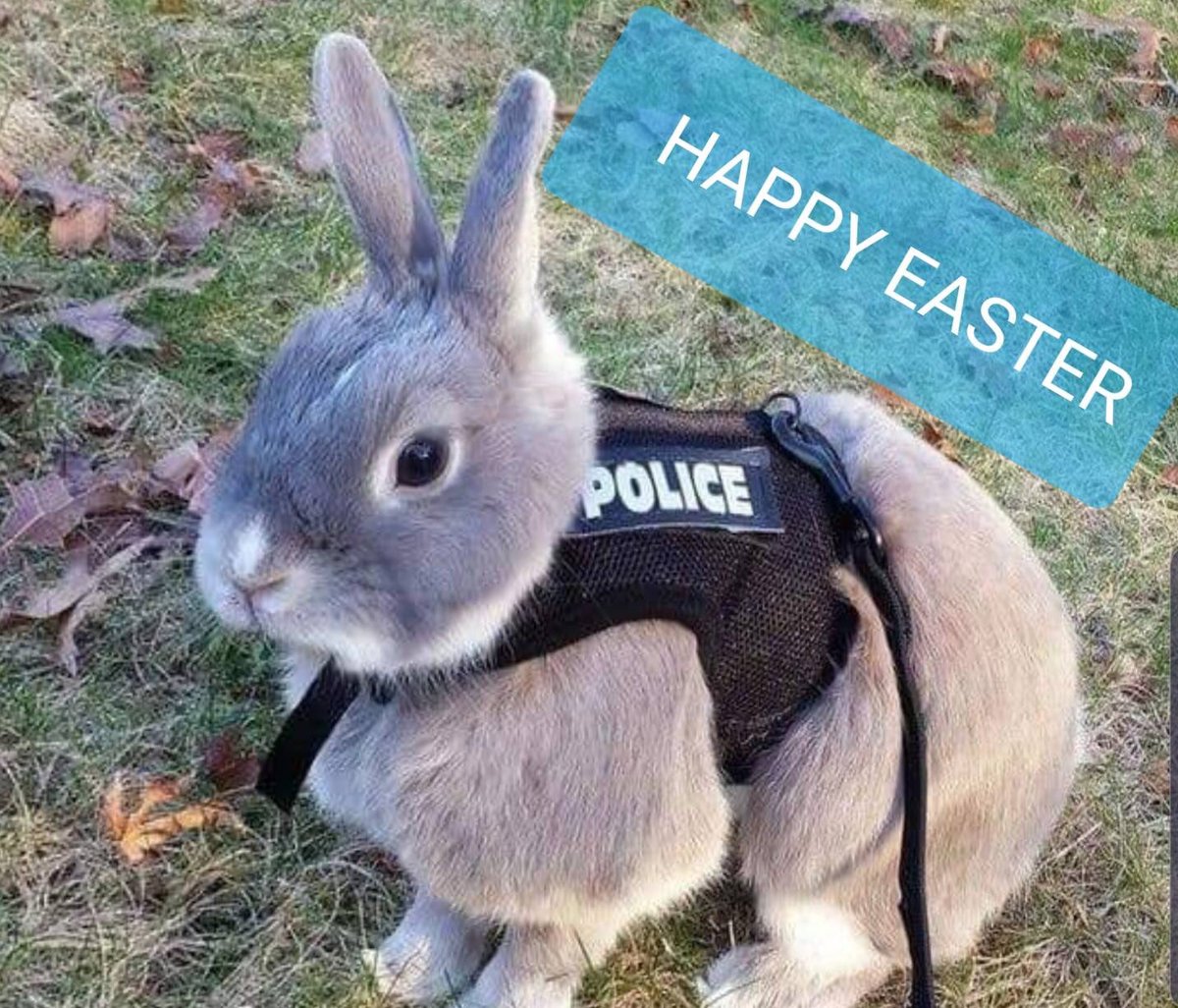 JonestownPolice's tweet image. 