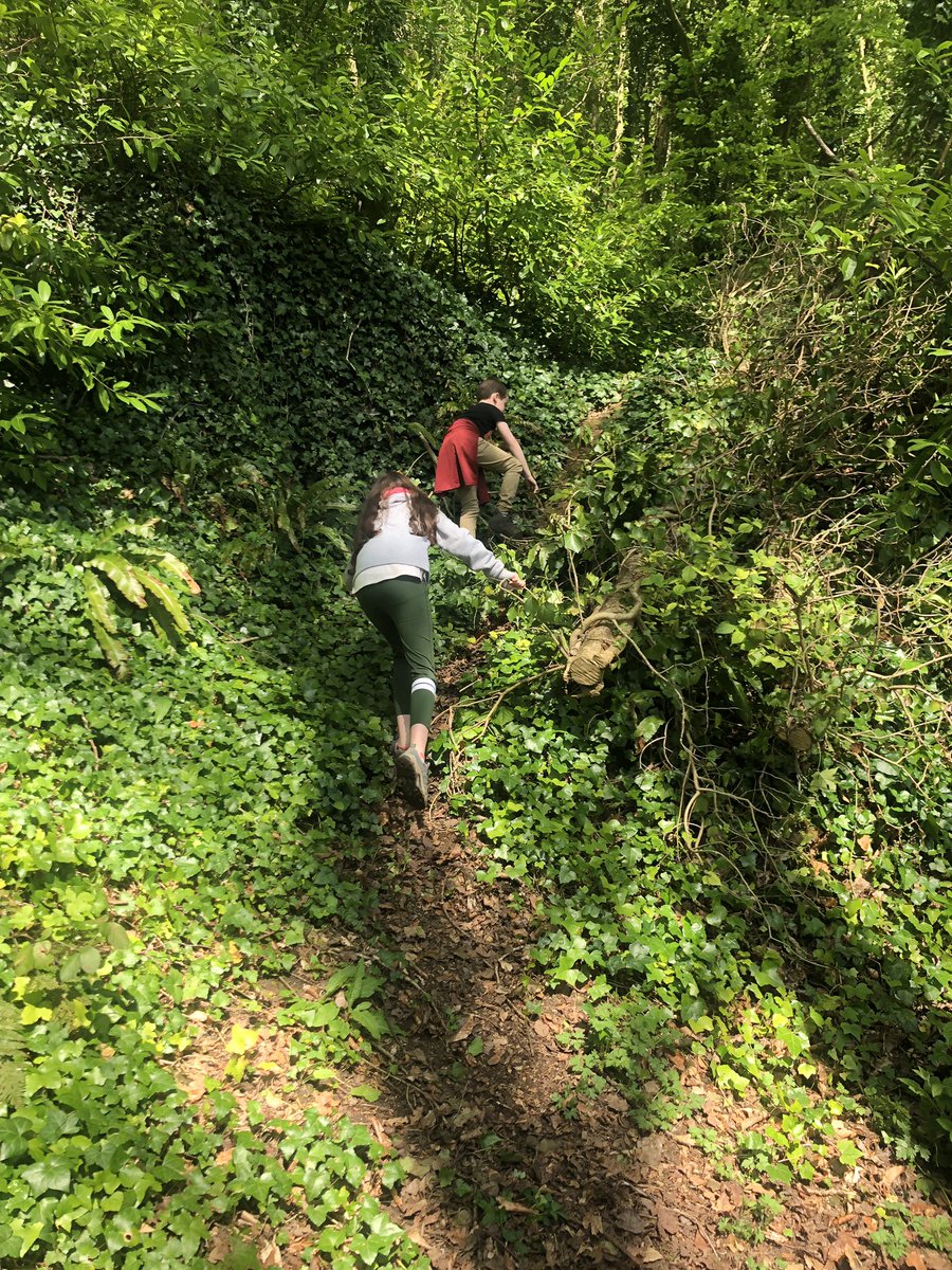 JaniceCaseyB's tweet photo. We ditched the Easter Sunday dinner, sliced the roast up and put it in rolls and headed to the woods โค๏ธโค๏ธ๐๐ป๐๐ป #WorkLifeBalance #tipperary #marlfield #woods #eastersunday #family #makingmemories https://t.co/Kv1YudfRob
