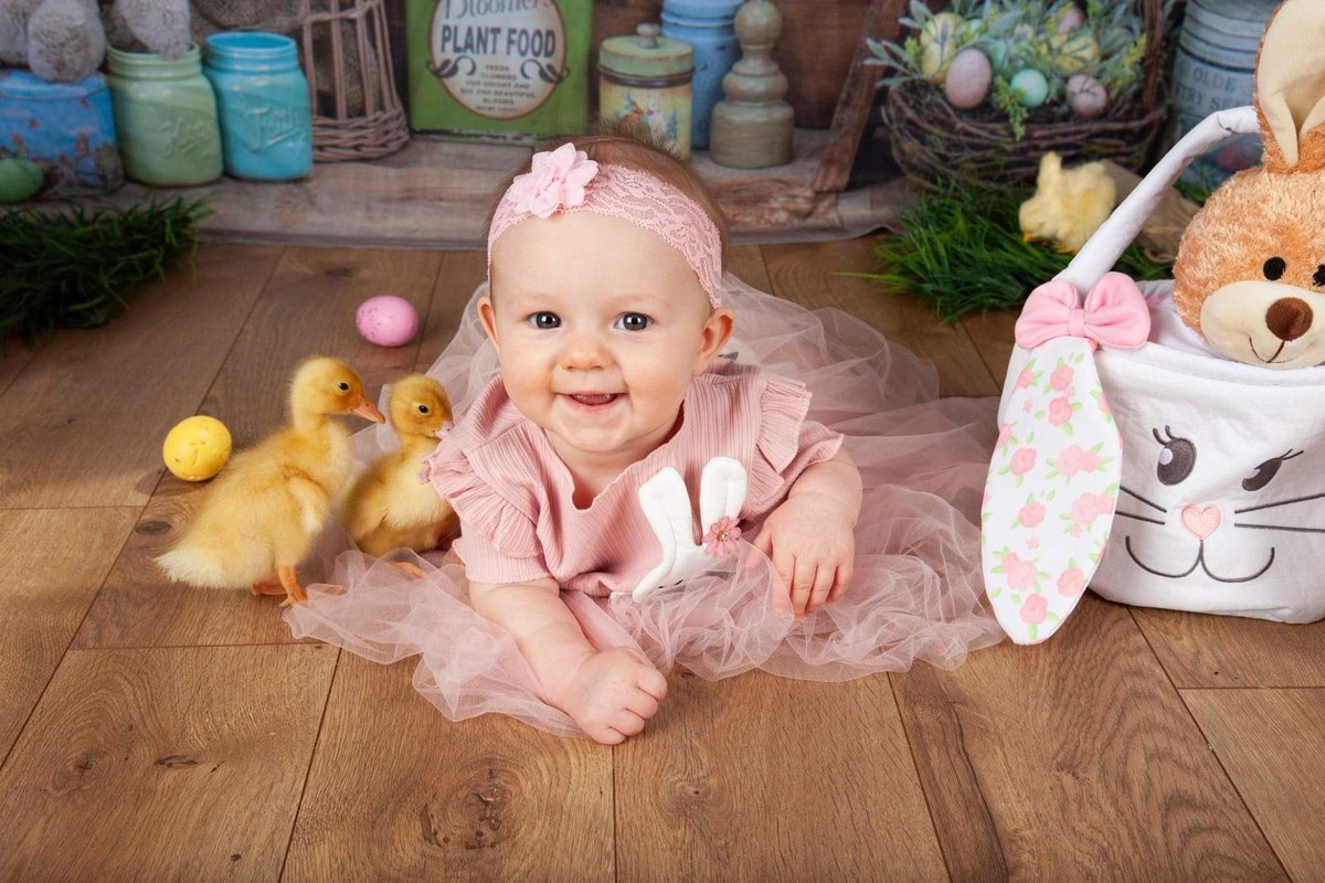 Pete Van Klaveren tweet media