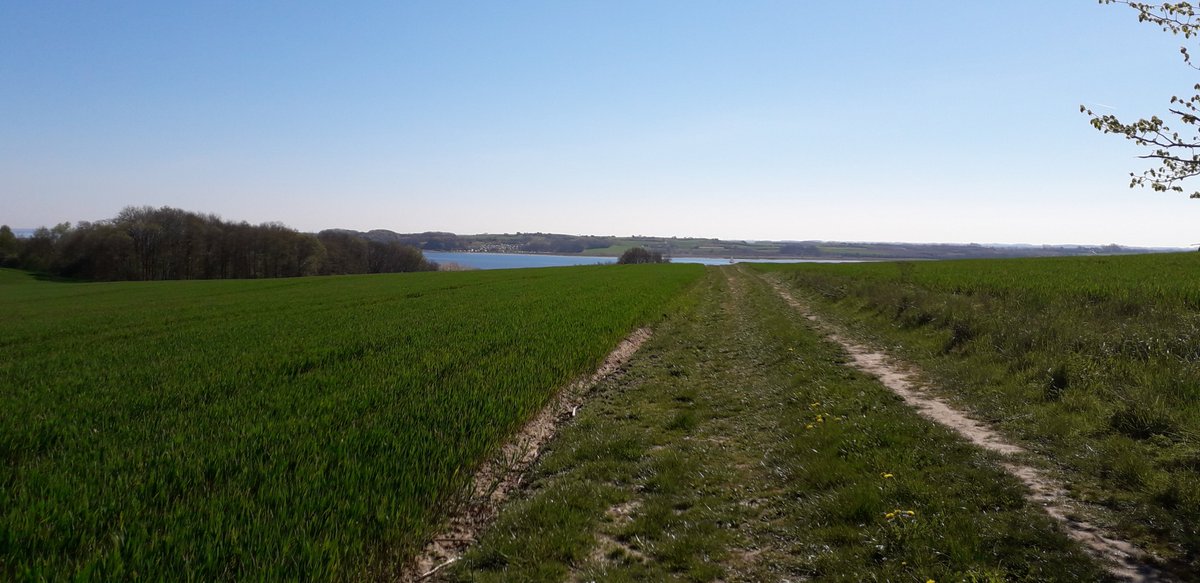 heidibrinckmann's tweet photo. ☀️A Walk out in the open.☀️

☀️#sunday #walk #sunny #relax #Mindfulness #nature #Denmark #dybbøl☀️ https://t.co/2sv7vfp751
