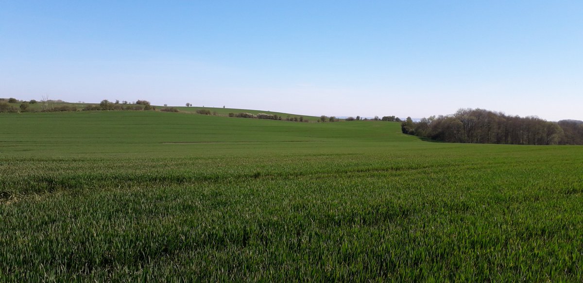 heidibrinckmann's tweet photo. ☀️A Walk out in the open.☀️

☀️#sunday #walk #sunny #relax #Mindfulness #nature #Denmark #dybbøl☀️ https://t.co/2sv7vfp751