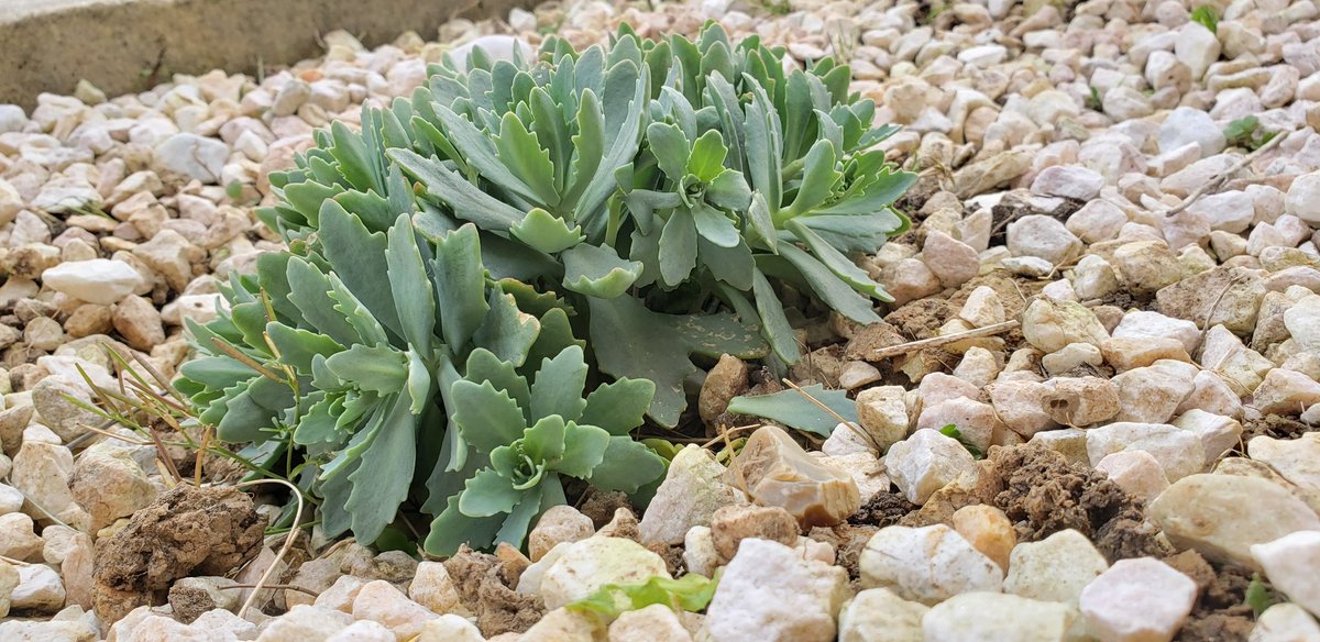 Jardinierenherbe Hashtag On Twitter