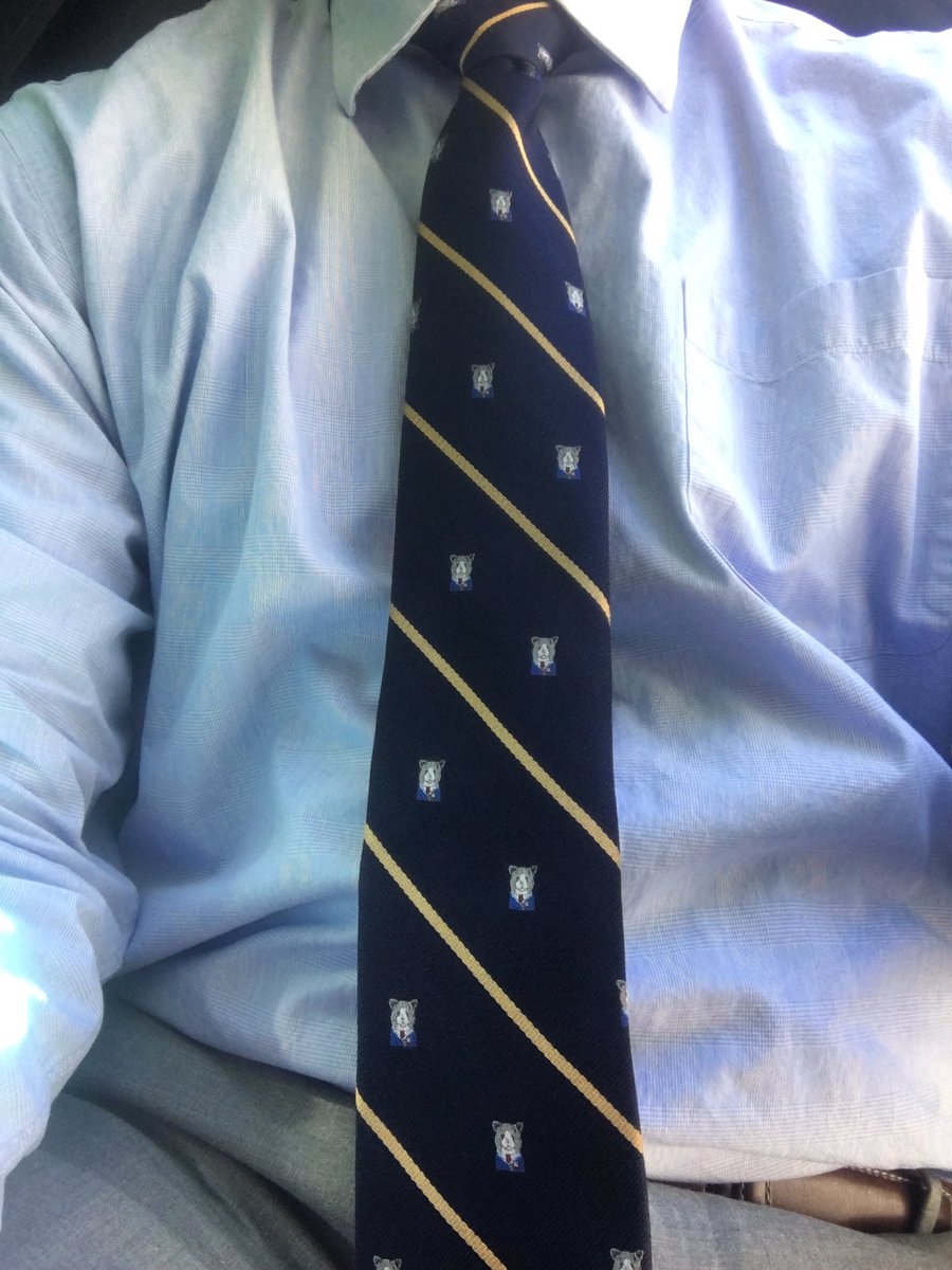 cstills23's tweet photo. Easter tie @MenInBlazers #GFOP #Crapcat https://t.co/rFbu3jUgn0