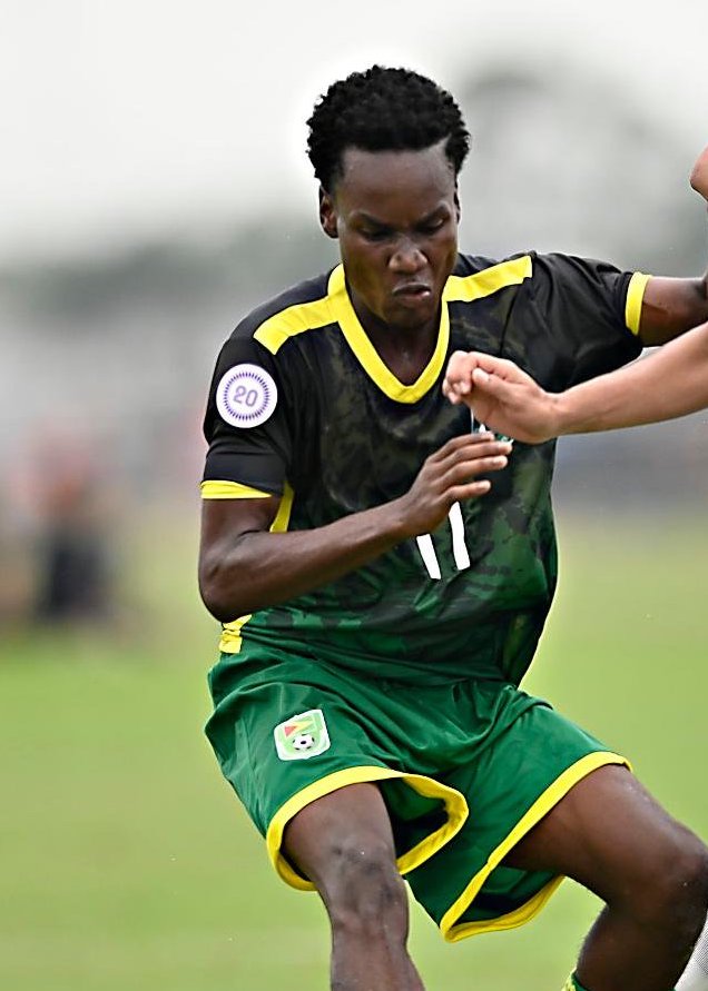 Worldshirts.net tweet media