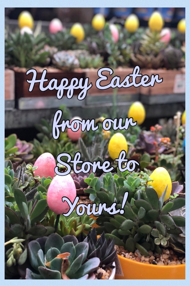 JeremyJMyers's tweet photo. Hidden in our store today was one Golden Egg, filled with a prize inside! The first associate to find it, wins! Congrats to our winner, Head Cashier Nancy!!! 🍊🥚🐰 #HD274 #HappyEaster https://t.co/N6qPkzR5Ba