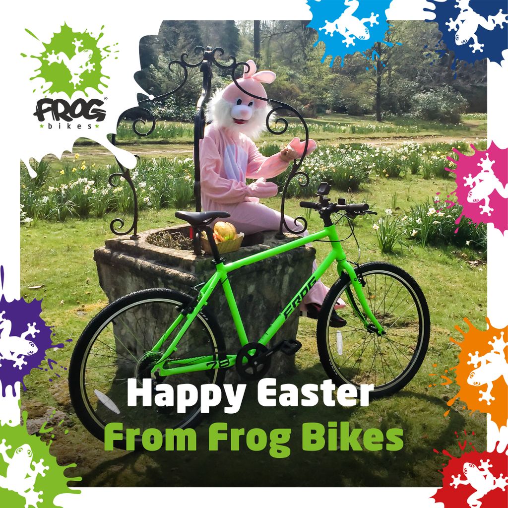 frog bike usa