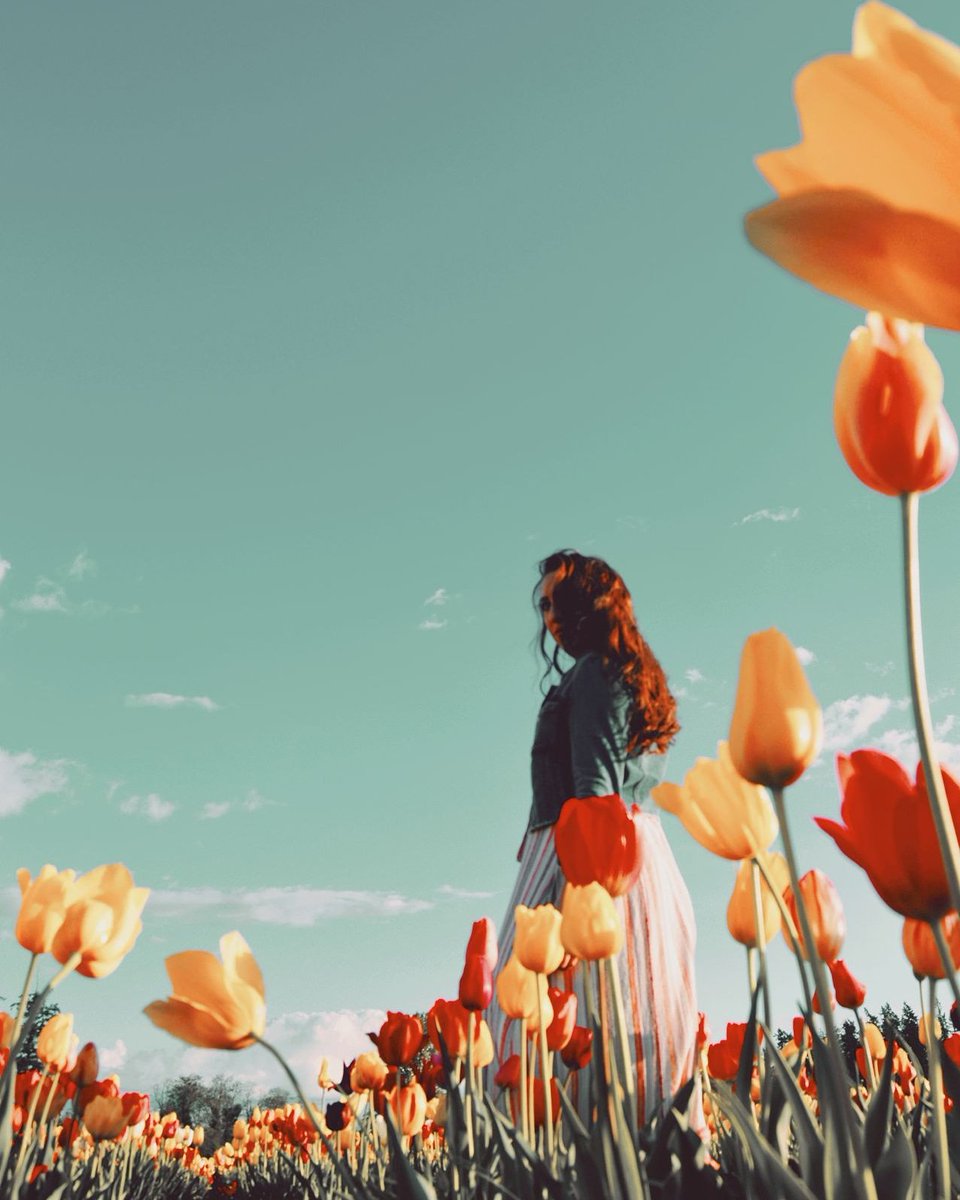 vintagelove1988's tweet photo. Happy Easter! #tulips #tulipsfields #photography #me 🌷 https://t.co/J5p0plVhCS