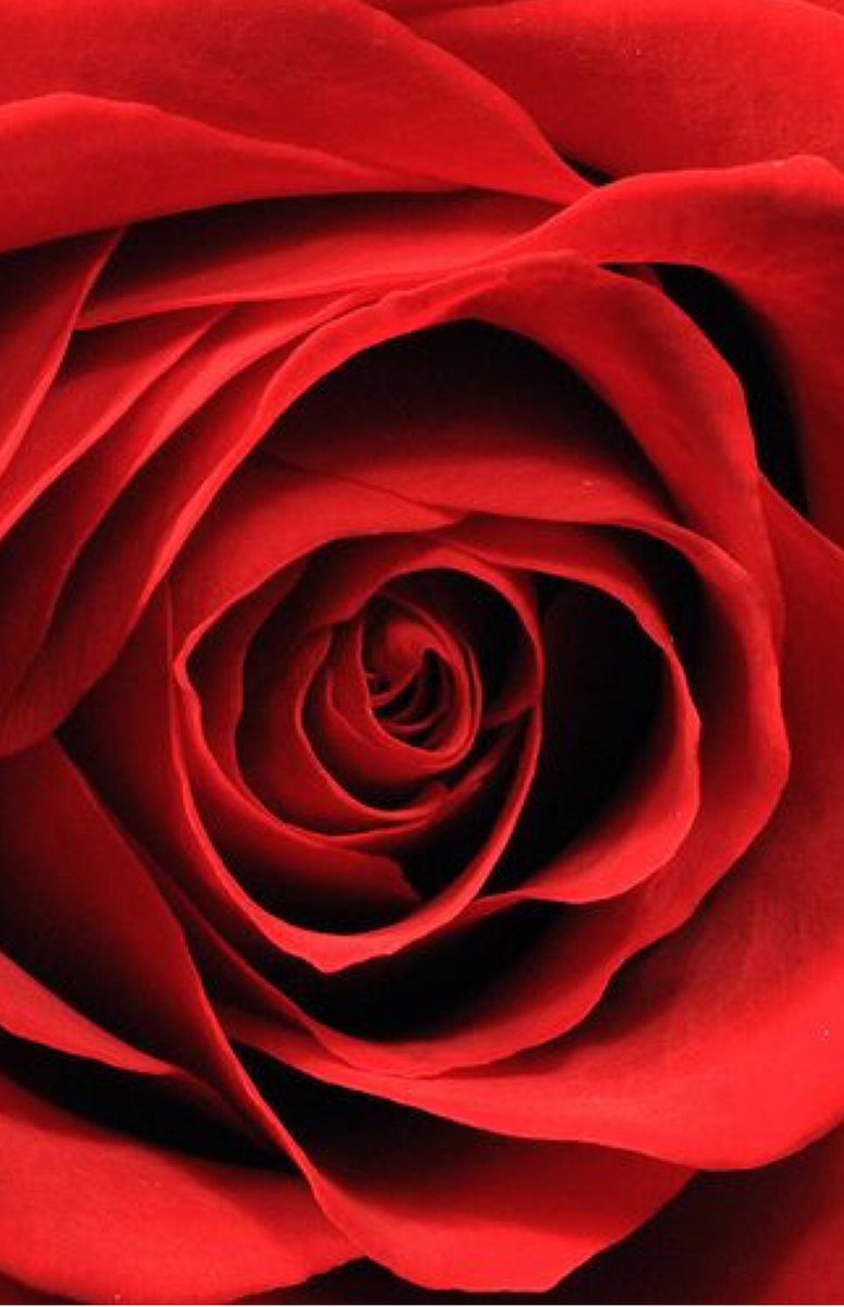 frenchthreadso2's tweet image. 👹FAITS À PROPOS DE MOI👺