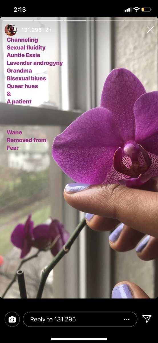AfroJediii's tweet image. on the other side of afroqueer living are moments like this. we here. and very much alive. we don’t share the same Sunlight as y’all — our flowers grow different. // thankful for my friends.  #inthelife #blackqueermagic #younggiftedandblack #softnegro #biboiblues