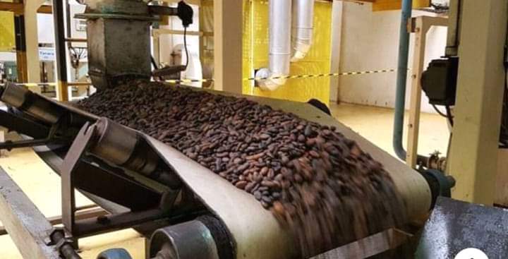 Badciss's tweet photo. Premier producteur mondial de cacao avec 1,7 million de tonnes, la Côte d’Ivoire est désormais le premier broyeur de fèves de cacao au monde devant les Pays-Bas, l’Allemagne, les Etats-Unis. #Civ , #Cacao https://t.co/JTLKouFZ9r